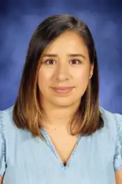 Board Member