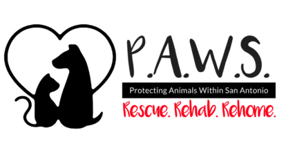 paws rescue rehab rehome