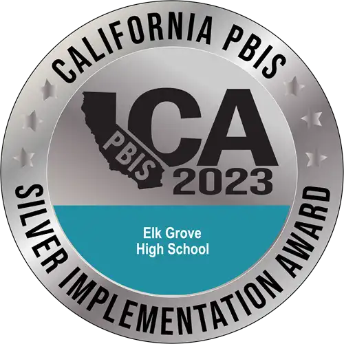 PBIS silver 2023