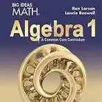 Big Ideas Math Alg 1 Textbook
