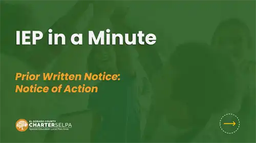 IEP In A Minute
