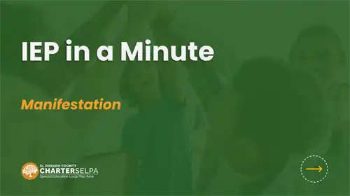 IEP In A Minute