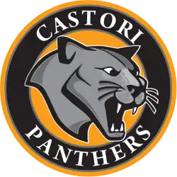 castori panthers school logo.