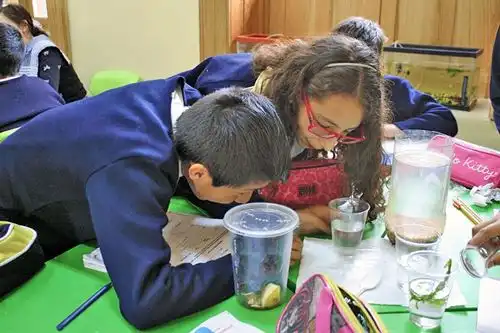 students working together on a science activity