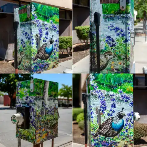 Quail Utility box