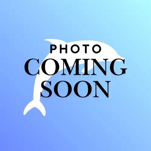 Photo Coming Soon