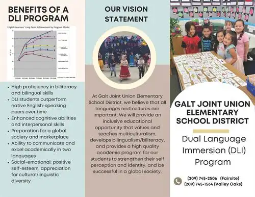 Galt DLI Brochure - English page 1