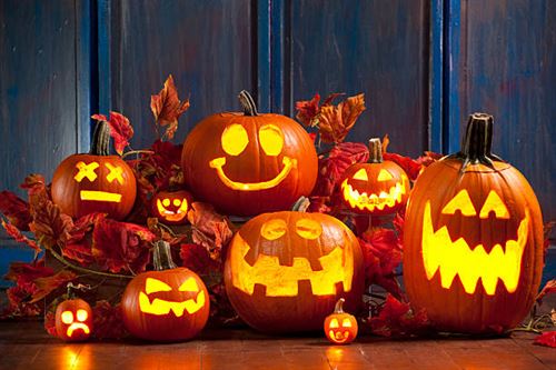 pumpkins