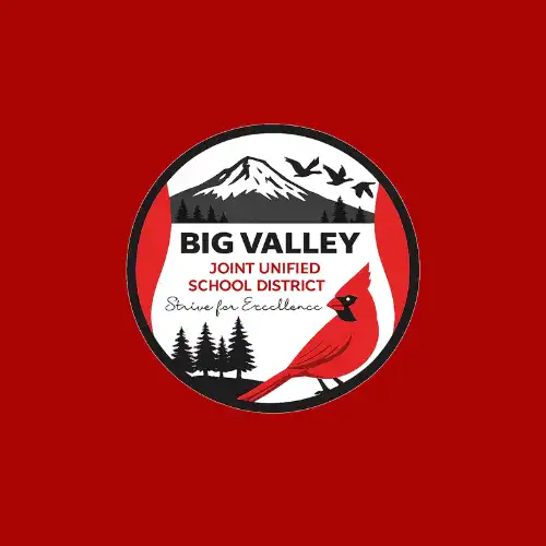 big valley logo