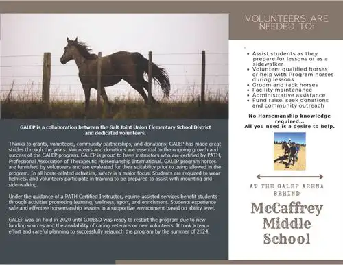 GALEP Brochure