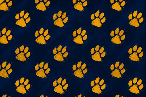 tiger paw back drop